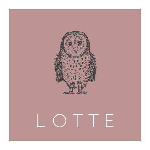 Geboortekaartje voor meisjes met een uiltje