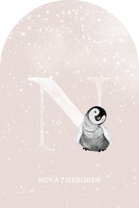 Winter geboortekaartje voor meisje met sneeuw