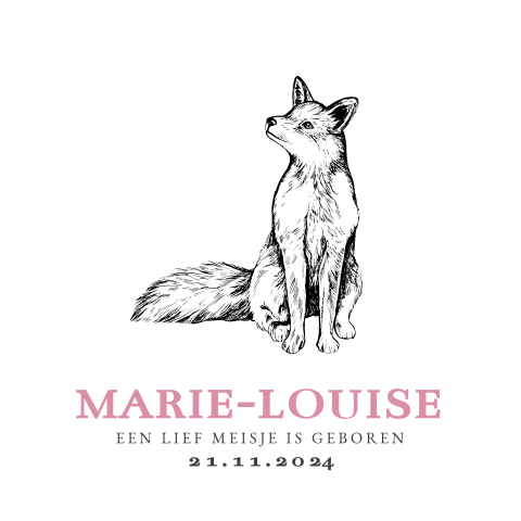 Geboortekaartje meisje met vos en roze letters