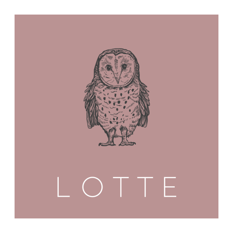 Rustig geboortekaartje voor meisjes met een uiltje