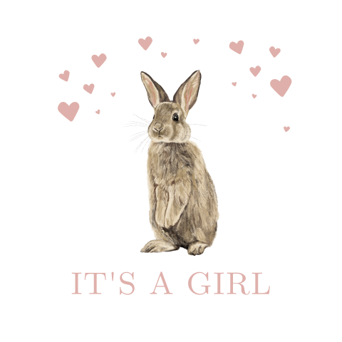 Kaartje sturen voor geboorte meisje met konijntje en hartjes