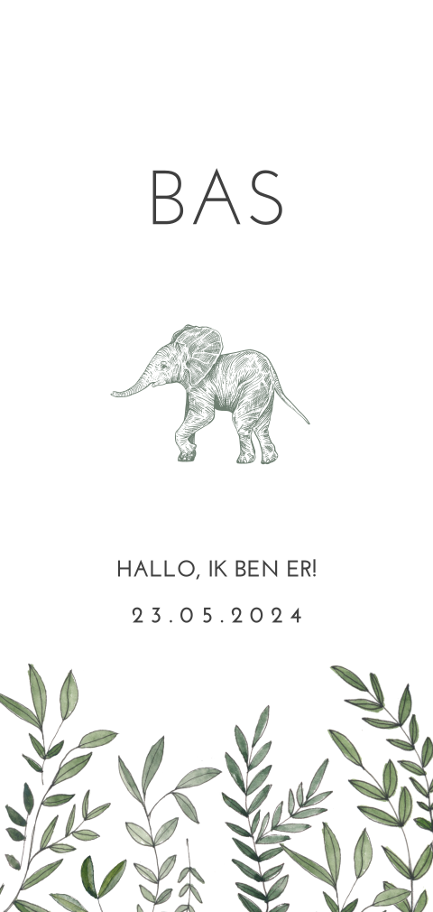 Botanisch geboortekaartje jongen met olifantje
