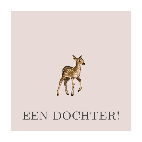 Felicitatie kaartje sturen voor geboorte dochter met hertje