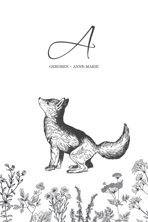 Trend geboortekaartje meisje met vosje