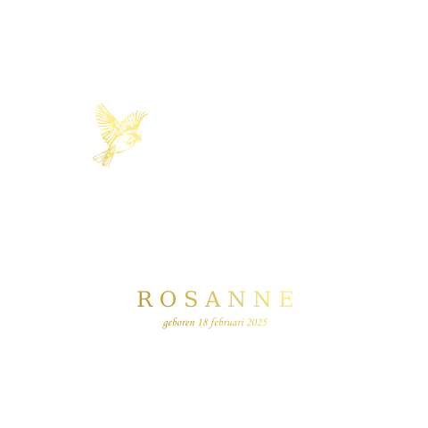 Klassiek geboortekaartje meisje met vogel en goudfolie