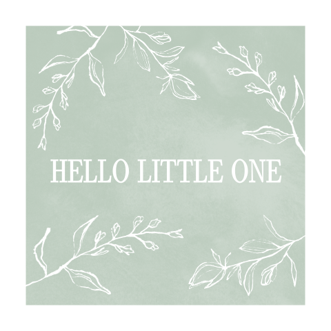 Geboorte felicitatie voor zoontje met takjes