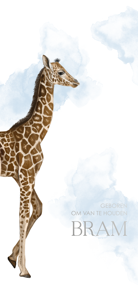Geboortekaartje jongen met giraf en zilverfolie