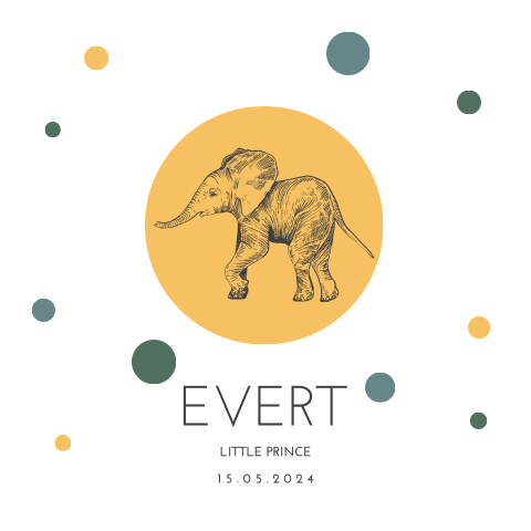 Geboortekaartje jongen met okergeel en olifantje