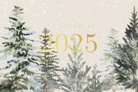 Christelijke kerstkaart 2025 met goudfolie