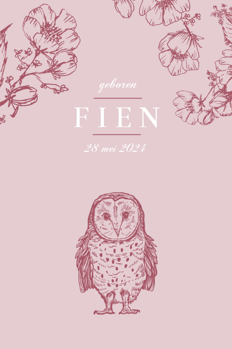 Romantisch geboortekaartje voor meisjes met uil