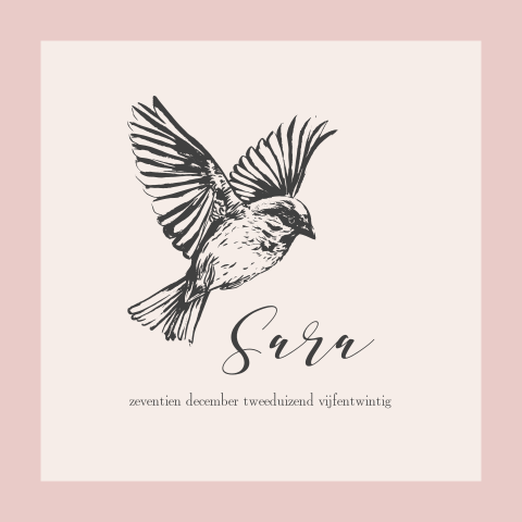 Geboortekaartje voor meisjes met vogeltje