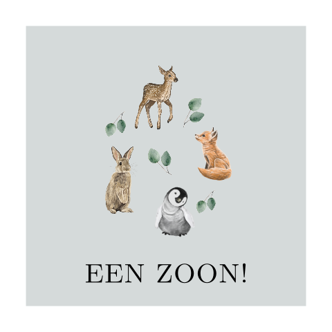 Felicitatie kaartje sturen voor geboorte zoon met diertjes