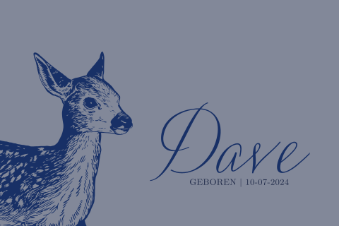 Stoer geboortekaartje jongen met blauwe tinten en hertje