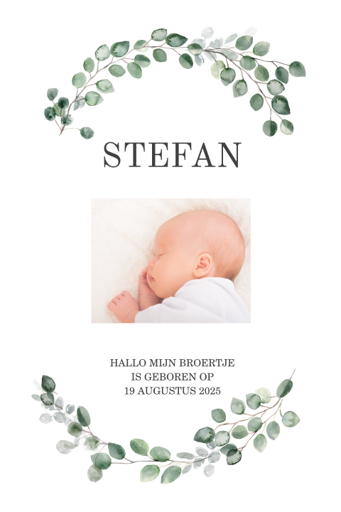 Botanisch geboortekaartje broertje met foto en blaadjes