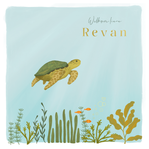 Geboortekaartje voor een jongen met zeeschildpad