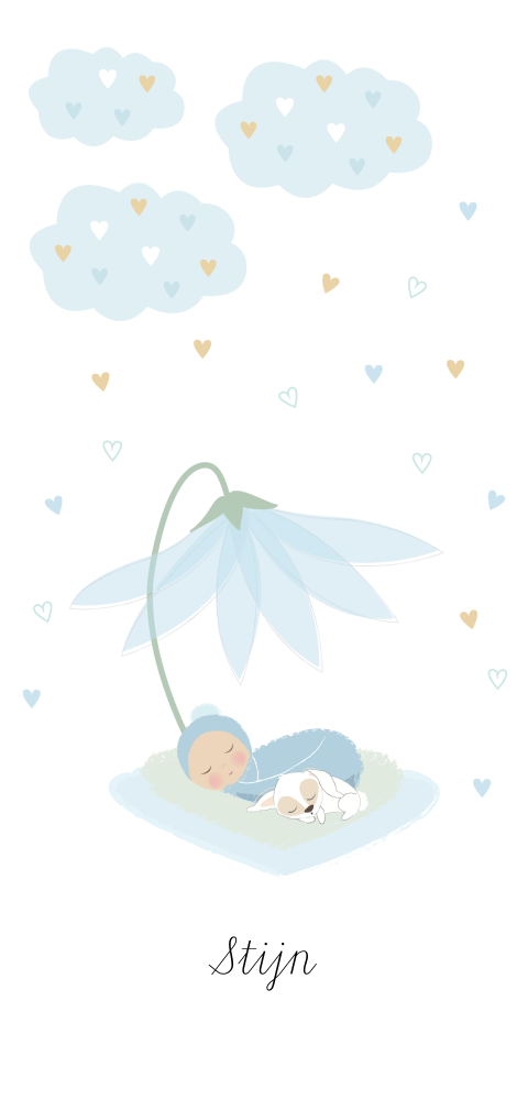 lief jongens geboortekaartje met wolken bloem en baby