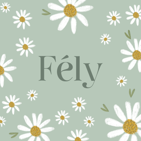 Geboortekaartje voor een meisje met bloemen madeliefjes
