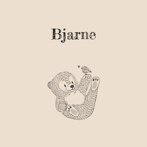 lief geboortekaartje voor een zoon met illustratie van beer