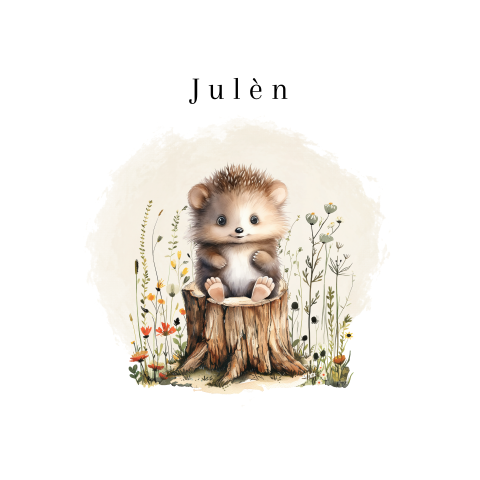 Lief unisex geboortekaartje met een schattig egeltje