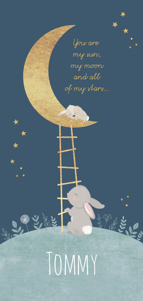 geboortekaartje jongen met konijntje en trapje naar de maan