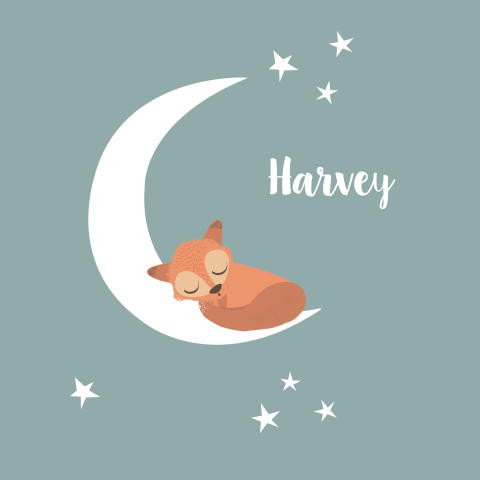 Geboortekaartje met vosje slapend in de maan