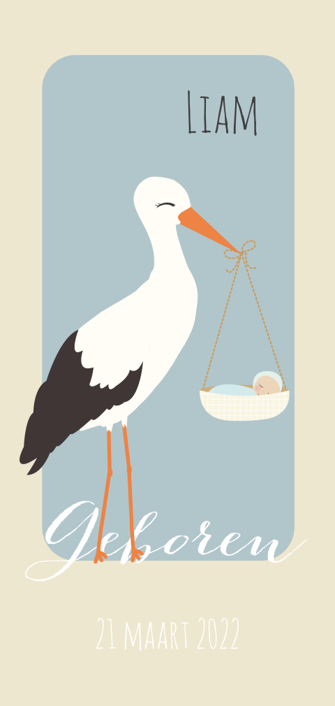 vintage geboortekaar voor een jongen met ooievaar met baby