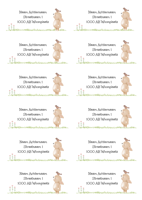 Adressticker konijntje