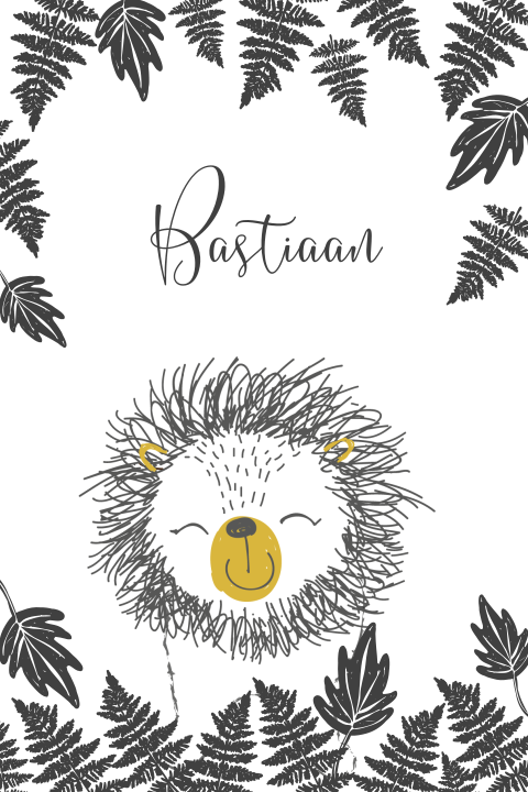 avontuurlijk geboortekaartje voor een jongen met leeuw