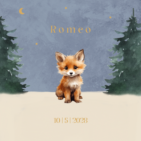 Geboortetegel met lief vosje