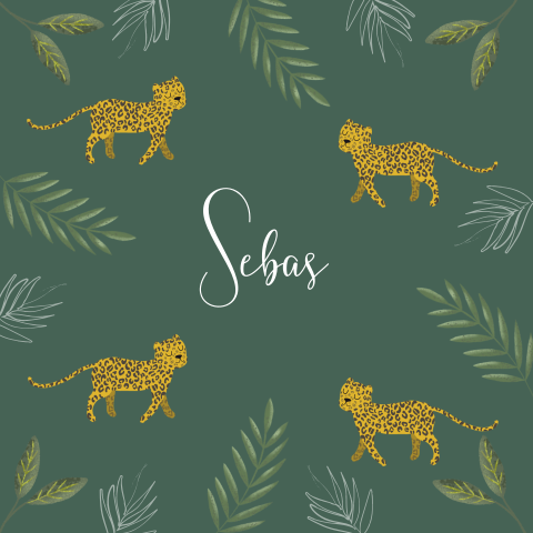 jongens geboortekaartje met panters in junglethema