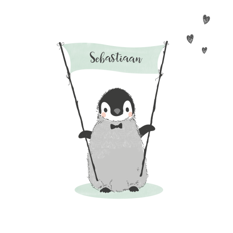 lief jongens geboortekaartje met pinguïn