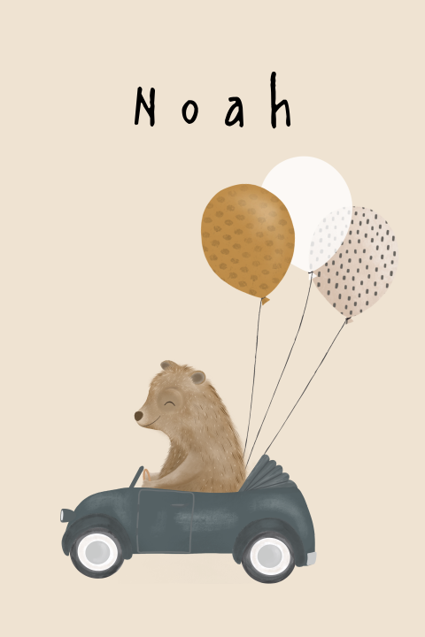 Geboortekaartje jongen lief dieren beer auto
