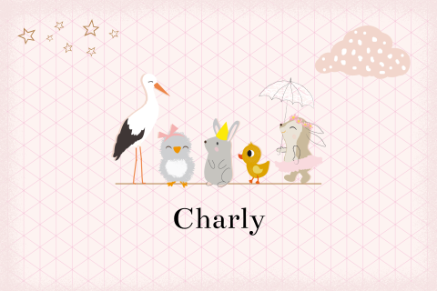 Klassiek meisjes geboortekaartje met ruitjes en dieren