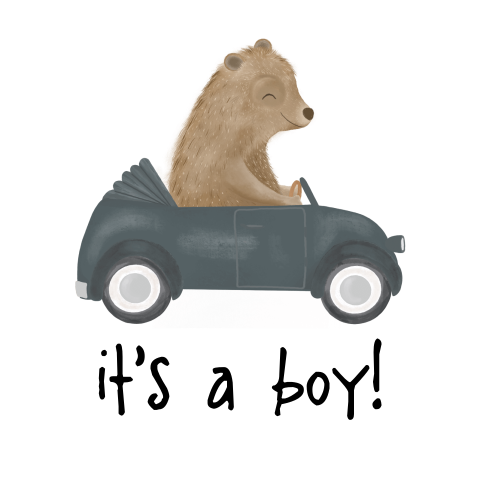 Sluitzegel met beertje in auto