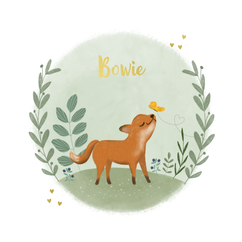 Geboortekaartje zoon met illustratie vosje en vlinder