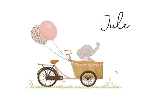 Geboortekaartje met lief olifantje in een bakfiets