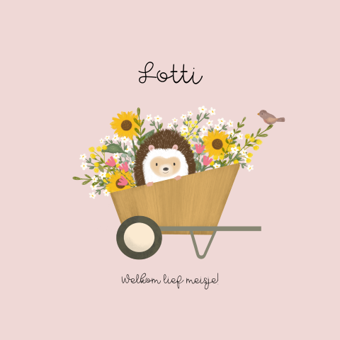 Geboortekaartje meisje met egel in kruiwagen met bloemen