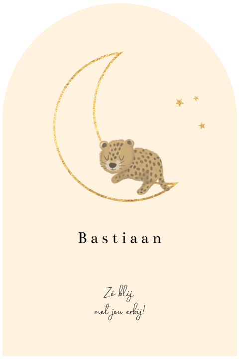 Geboortekaartje met boog en maan met slapend pantertje