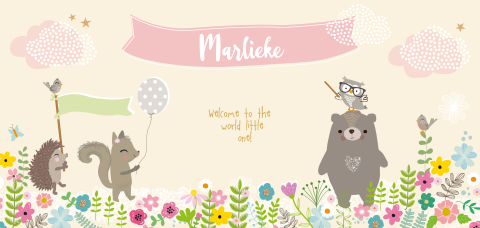 lief meisjes geboortekaartje met veldbloemen en dieren