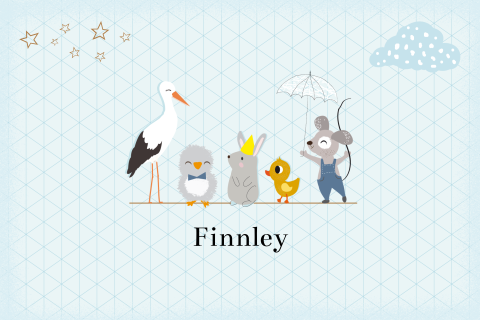 lief en klassiek geboortekaartje zoon met ruitjes en dieren