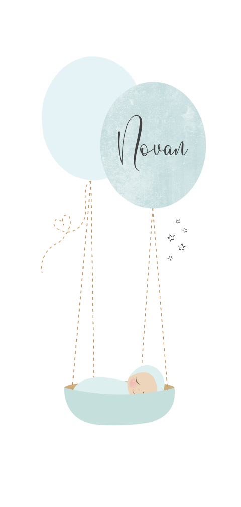 lief babykaartje voor een jongen met mandje aan ballonnen