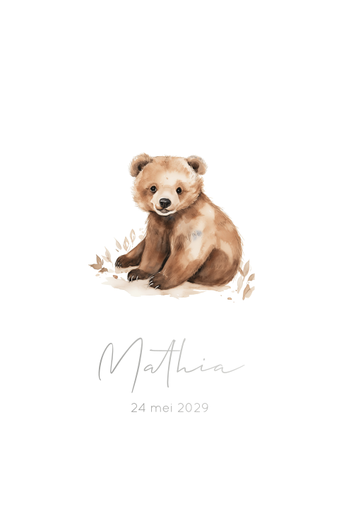 Geboortekaartje jongen | Beertje