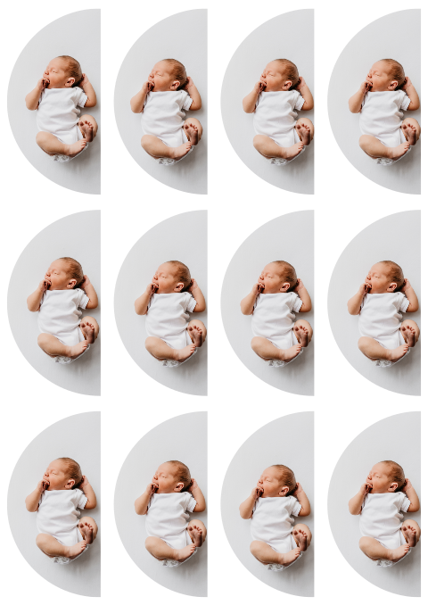 12 halve cirkel fotokaartje