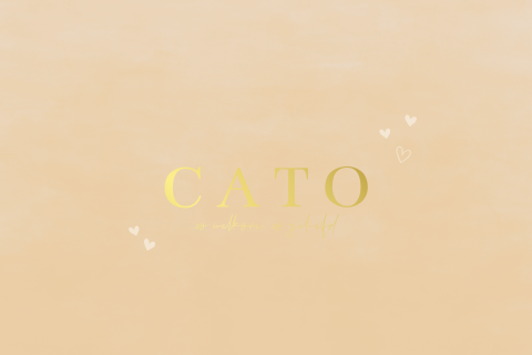 Liggend geboortekaartje meisje met hartjes en goudfolie