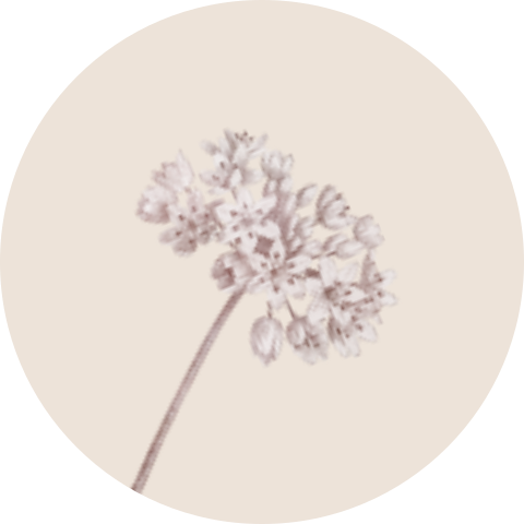 Sluitzegel watercolor bloem
