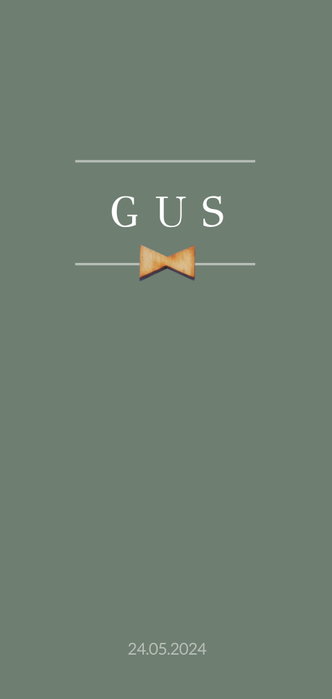 Langwerpig geboortekaartje met houten strikje