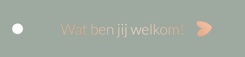 16 Labels van 8,5x2 cm