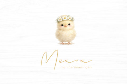 Memory box wit baby | kuikentje