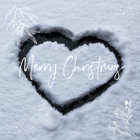 Branche georiënteerd  - Merry Christmas hart in de sneeuw