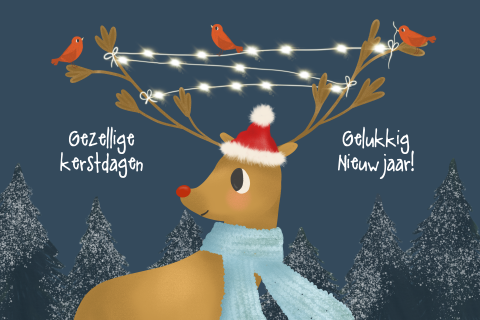 Grappige kerstkaart met Rudolf en vogeltjes